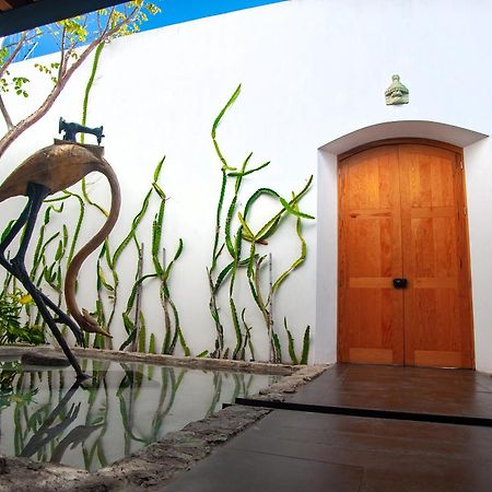 Hotel Casa Carmen Xolotl Oaxaca Esterno foto