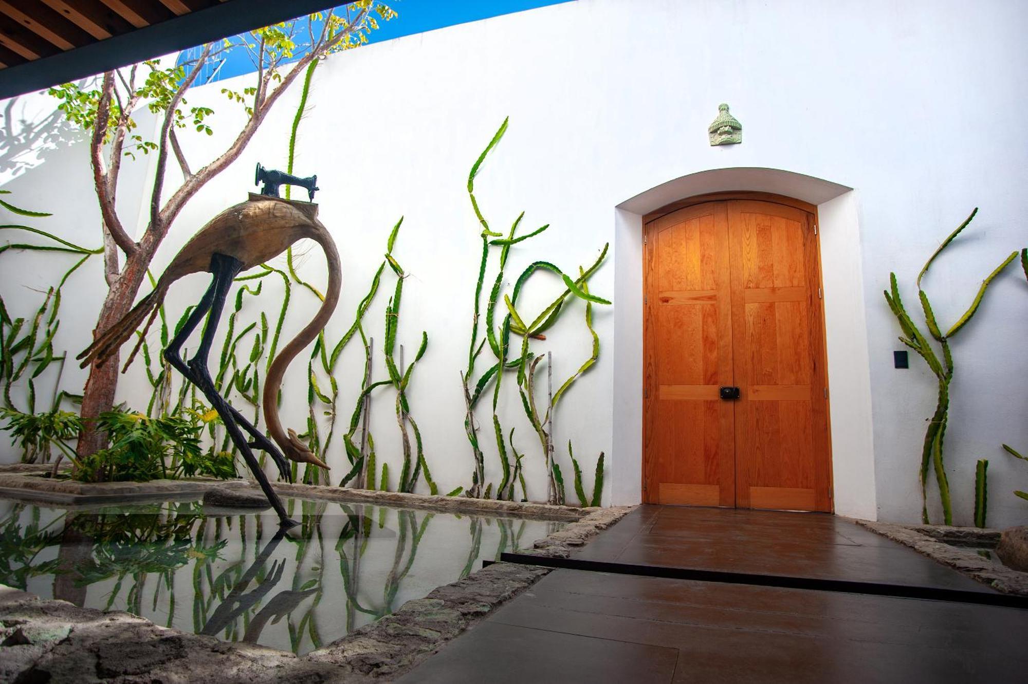 Hotel Casa Carmen Xolotl Oaxaca Esterno foto